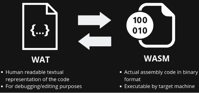 writing assembly code infographic