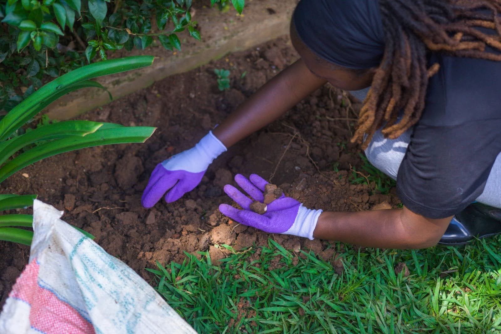 A woman prepares the ground to plant a new tree