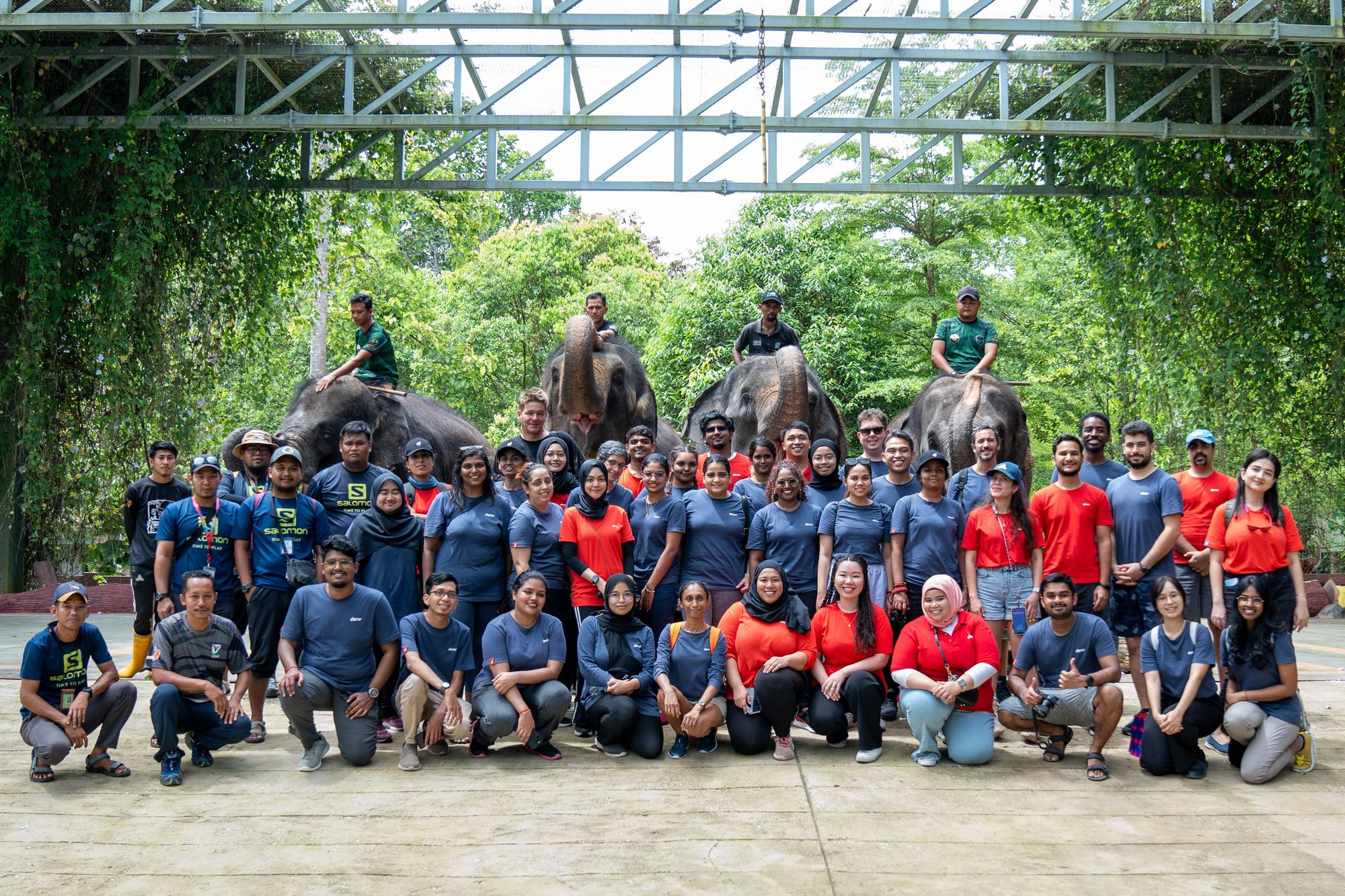 Deriv employees at the elephant conservation center